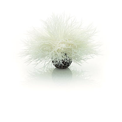 Sea Lily White - color: White, size: 1 Count (Pack of 1)