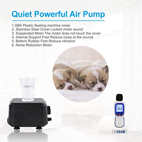 hygger Quiet <30dB Aquarium Air Pump, Adjustable Low Decibel Oxygen Fish Tank Pump 2 Air Outlets Ultra Silent Powerful Aerator Pump with Accessories Max 80GPH/160GPH/255GPH(5W, Up to 150Gallon) - size: 5W, Up to 150Gallon