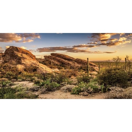 AWERT Reptile Habitat Background Blue Sky Oasis Cactus Sun and Desert Terrarium Background 24x12 inches Durable Polyester Background - size: 24x12 inches