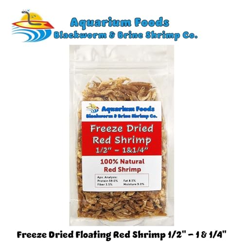 Red Shrimp, 1/2" to 1&1/4" Floating Freeze Dried Red Shrimp for All Tropical Fish, Cichlids, Catfish, Marines, Pond Fish, Turtles, Hamsters, Reptiles…7.3oz Clear Bag - size: 7.3 Ounce (Pack of 1)