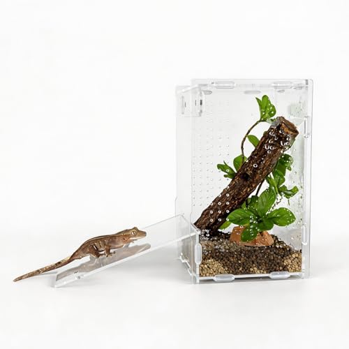 5x5x8 Acrylic Reptile Enclosure - Clear Small Pet Terrarium | Distortion-free all-acrylic build with top and side ventilation for clear observation - size: 5"5"8"