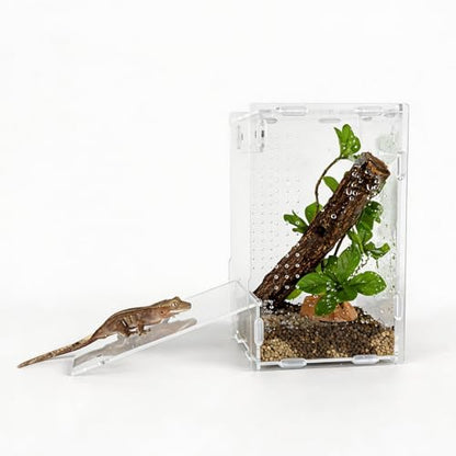 5x5x8 Acrylic Reptile Enclosure - Clear Small Pet Terrarium | Distortion-free all-acrylic build with top and side ventilation for clear observation - size: 5"5"8"