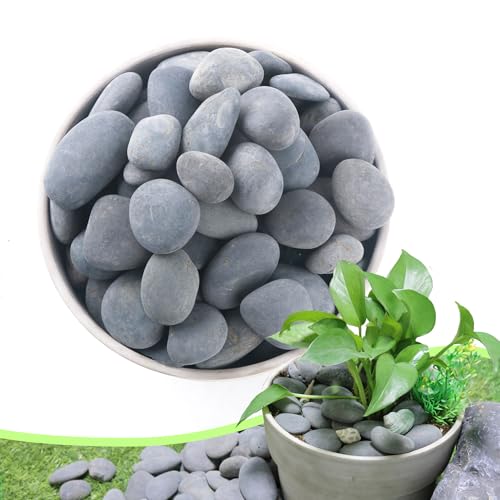 2.4LB River Rocks,Mexican Beach Pebbles for Plants,Potting,Garden Landscape Stone Paving Stone Grey 1Inch - 2Inch - size: 2.4LB, style: Large