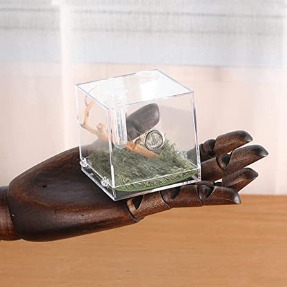 Jumping Spider Micro Big Habitat, Small Pet Insect Breeding Box, 360 Degree High Transparent Reptile Cage, Acrylic Case Mini Carrier for Amphibians, Feeding Container Enclosure Accessories