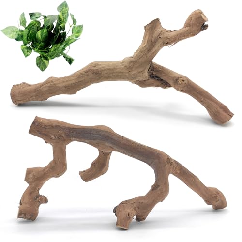 VCEPJH Snake Climbing Branch, 2Pcs Reptile Wood Natural Cork Log Tank Accessories Tree Trunk for Chameleon Bearded Dragon Gecko Snake Frog Spider - size: Grape Wood (L:13.7"-15.7"-2pcs)
