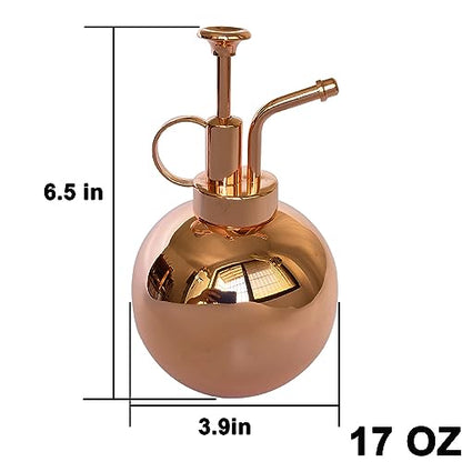 Stainless Steel Plant Sprayer, Small Watering Can Plant Misting Bottle, Modern Gardening Tools for Indoor Potted Plants Watering and Misting - color: 17oz/ Rose Gold