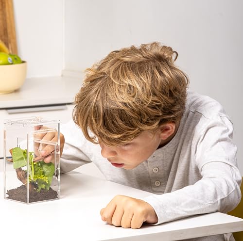 EctoTherm Jumping Spider Enclosure for Spiders, Tarantulas, Praying Mantis - size: Small
