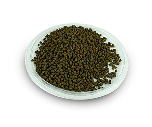 Josh's Frogs Dart Frog Tadpole Food (Bulk -16 oz) - size: 16 Oz