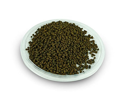 Josh's Frogs Dart Frog Tadpole Food (Bulk -16 oz) - size: 16 Oz