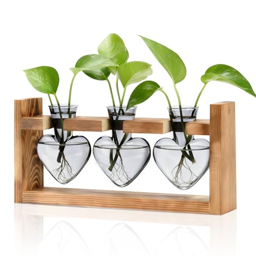 Plant Terrarium with Wooden Stand, 3 Heart Bulb Glass Vases | Wooden Stand Tabletop for Air Planter, Gifts for Mom Plant Lovers Mom Women Wife Grandma - color: Light Gray