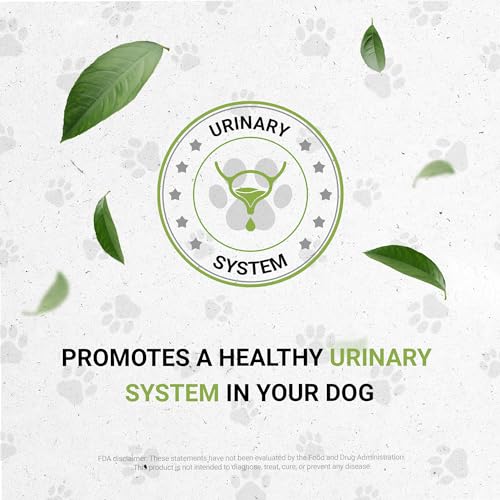 Wolf's Urinary | Natural Herbal Dietary Supplement for Dogs | Healthy Urinary System Support in Dogs | Alcohol-Free Extract, Dandelion Root, Calendula, Linden, Chamomile, Fennel 2 oz - style: Urinary