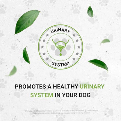 Wolf's Urinary | Natural Herbal Dietary Supplement for Dogs | Healthy Urinary System Support in Dogs | Alcohol-Free Extract, Dandelion Root, Calendula, Linden, Chamomile, Fennel 2 oz - style: Urinary