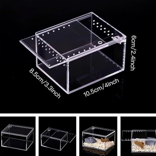Reptile Terrarium Breeding Box Ventilated Container Enclosure for Lizards Terrapin Crayfish Snake- 10.5cmx8.5cmx6cm