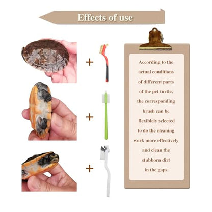 3 Pcs Turtle Cleaning Brush, Remove Aquatic Mud, Dirt, & Contaminants from Tortoises Shells, Promoting Shell Health, Aquarium Brush for Cleaning Turtle, Reptile Food Dish