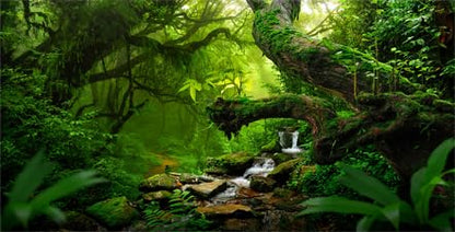 48X24IN Tropical Forest Green Huge Tree Reptile Habitat Aquarium Background, Green Natural Landscape Rainforest Fish Tank Decorations Background, Nature Art Terrarium Background - size: 48X24in/120X60cm