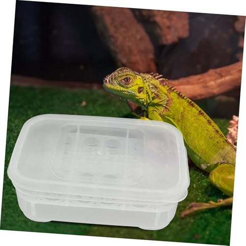 POPETPOP Box Compartments for Efficient Hatching Plastic Incubation Container for Lizards Geckos Snakes and Other Reptiles