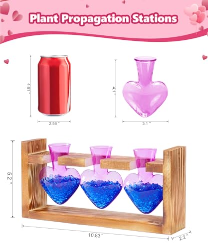 Nacome Plant Terrarium with Wooden Stand, 3 Heart Bulb Glass Vases | Wooden Stand Tabletop for Air Planter, Gifts for Mom Plant Lovers Mom Women Wife Grandma - color: Purple