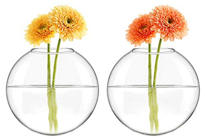 Mkono Wall Propagation Planters, 2 Pack Oblate Hanging Plant Holder Vase | Glass Terrariums Station, Hydroponic Indoor Flowers, Excludes Plants, Bathroom Living Room Office Decor, Gift for Plant Lover