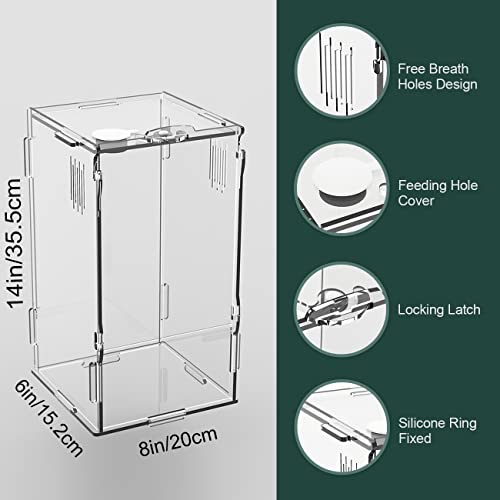 BETAZOOER Large Acrylic Reptile Tank Habitat Locking Terrarium 8''x6''x14'' - size: Large