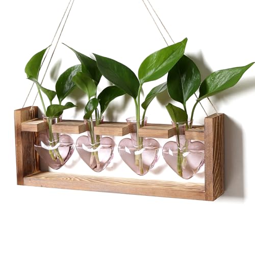 Plant Propagation Stations Heart Plant Terrarium Kit | Gift for Women Plant Lover Glass Vases - color: Pink