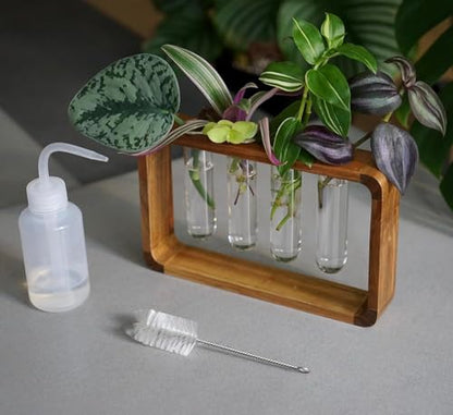 Source & Plot Plant Propagation Station - Acacia Wood Stand with 4 Glass Test Tubes, Tabletop Hydroponic Terrarium Planter Rack for Rooting & Houseplant Decor, Gift for Plant Lovers