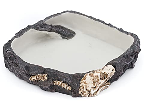 PENN-PLAX Reptology Reptile Fossil Rock Food/Water Dish – Perfect for Bearded Dragons, Geckos, Chameleons, Snakes, Hermit Crabs, and Many More – Large - size: Large