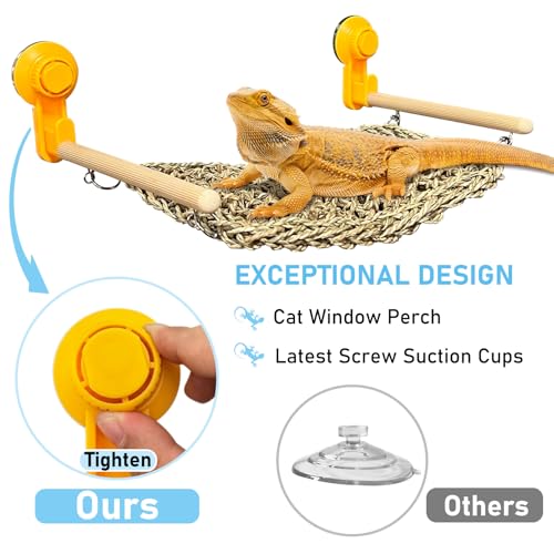 VCEPJH Bearded Dragon Hammock, Reptile Window Perch Natural Seagrass Gecko Climbing Tank Accessories Lizard Lounger Bed with Powerful Suction Cups Bearded Dragon Toys for Basking (11.81 * 7.08)