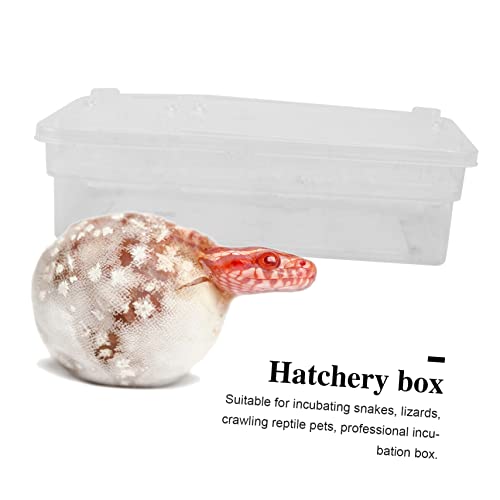 Plastic Reptile Hatching Box Easy Clean Incubator for Snakes Lizards Reptiles Visible Design Lightweight for Convenient Storage Hatchery Container