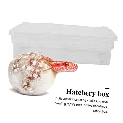 Plastic Reptile Hatching Box Easy Clean Incubator for Snakes Lizards Reptiles Visible Design Lightweight for Convenient Storage Hatchery Container