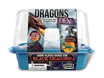 Toys By Nature Miniature Worlds Dragon's Den Flower Windowsill Terrarium Starter Kit, Complete Supplies to Grow Your Own Indoor Mythical Lair with Dragon Figurine and Lava Rock (Dragon's Den) - style: Dragon's Den