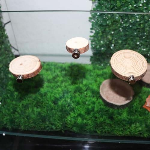Jumping Spider Accessories, 3 Pack Wooden Ledges with Magnets, Natural Pine Spiders Ledges, Jumping Spider Enclosure Accessories, Magnetic Reptile Ledge