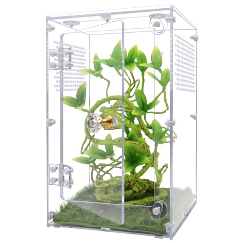 Jumping Spider Enclosure 6x6x10 Inch, Front Opening Tarantula Enclosure | for Spiders Tarantulas & Insects, Reptile Terrarium