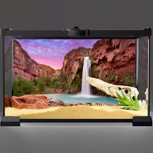 72x24 in Reptile Habitat Background Mountain Waterfall Terrarium Backdrop | AWERT Sunset Durable Polyester Background - size: 72x24in/180x60cm