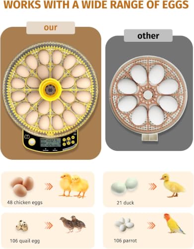 Egg Incubator for Hatching Eggs
