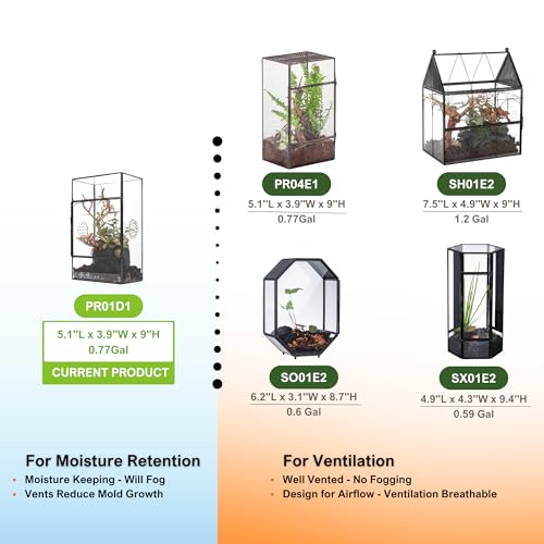 NCYP Glass Enclosure for Large Jumping Spider - 5.1" x 3.9" x 9" Front Opening Door Glass Terrarium with 3 Vent Holes, Small Snail, Insects Habitat, Black (Terrarium Only)