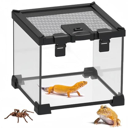 BNOSDM Reptile Tank,8" x 8" x 6" Mini Reptiles Terrarium,Full View Young Lizard Glass Tank,Small Amphibians Habitat Enclosure Cage for Tarantula,Frog,Hermit Crab,Isopods,Insects Breeding Box