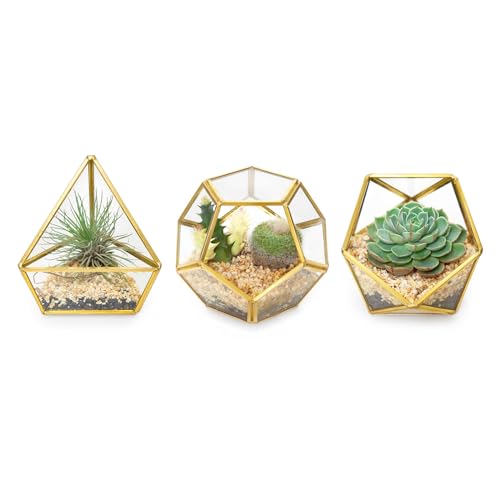 Mkono 3 Pack Geometric Glass Terrarium, 4" Gold Air Plant Holder Tabletop | Modern Centerpiece Decor, 3 Shapes Metal Frame, Fits Succulent Moss Fairy Garden Shelf Coffee Table, Plants Not Included - color: Gold