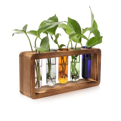 Glass Plant Propagation Station with 5 Test Tubes Colorful Planter Vase | Birthday Gifts for Women in Wooden Stand - color: Color-01