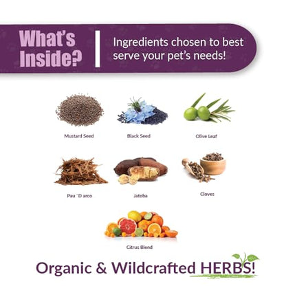 AMBER NATURALZ Reptaid for Reptiles Under 250g, Immune & Respiratory, 1 OZ | Supports immune & upper respiratory function, eye & mouth health, appetite & vitality. Formulated for pets under 250g. - size: 1 oz