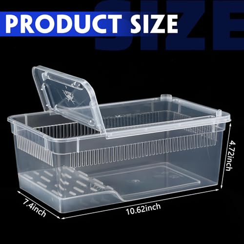Irenare 8 Pcs Reptile Breeding Box Plastic Spider Terrarium Tarantula Feeding Box for Bearded Dragon Lizard Spider Gecko Scorpion (Vent Strips,Clear,8.6 x 5.1 x 3.1 Inch) - color: Clear, size: 8.6 x 5.1 x 3.1 Inch, style: Vent Strips