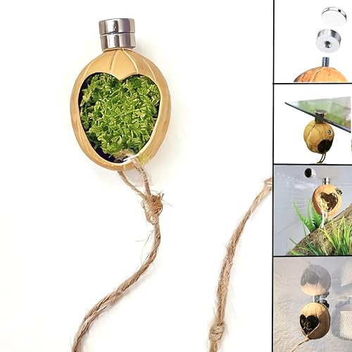 2pcs Jumping Spider Hideout,Accessories Enclosure,Magnet Hidden,Climbing Platform, Hiding Habitat from Natural Materials,Suitable for Small Insects