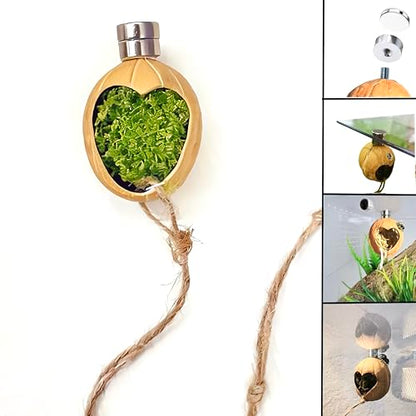 2pcs Jumping Spider Hideout,Accessories Enclosure,Magnet Hidden,Climbing Platform, Hiding Habitat from Natural Materials,Suitable for Small Insects