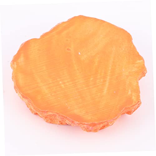 SUPVOX Reptile Feeding Bowl Thick Non-Skid Food Dish for Lizard and Turtle Odorless Water Storage Container Smooth Surface for Easy Cleaning for Crawling Pets Orange