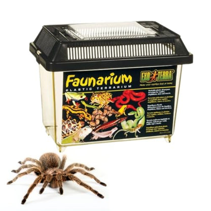 Exo Terra Faunarium Small PT2255 | Plastic Reptile Terrarium and Transport Container for Lizards, Spiders & Amphibians - size: Small