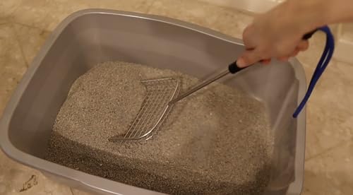Sand Dipper Cat Poop Scooper & Chicken Poop Scooper - Rugged Big 6" Square Stainless Steel Long Handle for Home Kitty Litter Scoop & Farm Chicken Compatible Coop Scooper (Scoop) - size: 6 - Scoop