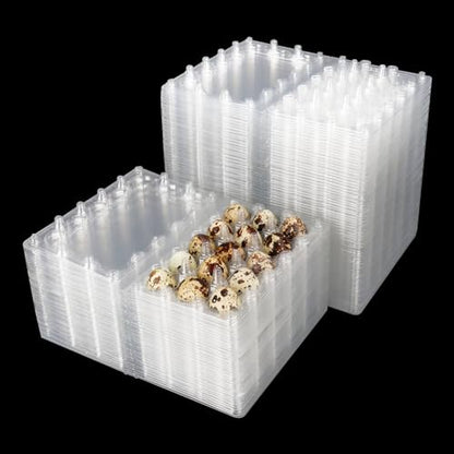 200 Pack Quail Egg Cartons, Clear Plastic Quail Egg Trays, Holds up to 15 Quail Eggs Securely - Your Ultimate Small Eggs Carton Holders for Bulk Storage and Display - size: 15 Grids