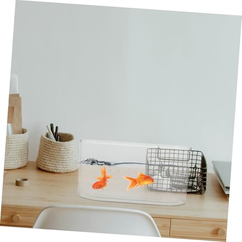Happyyami Transparent Aquarium Shatterproof Fish Bowl for Turtle Reptile Shrimp Crab Stylish Long Vase Plant Holder for Low-Maintenance Pet Habitat Easy Cleaning