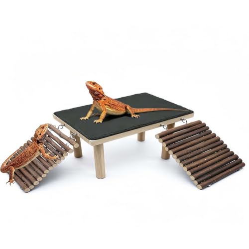Bearded Dragon Basking Platform with Climbing Ramp,Reptile Basking Rock,XXL | Wooden Lizard Resting Platform Basking Rock Slate,Leopard Gecko Hide Cave Tank Accessories for Tortoise Snake - size: XXL: 15.75" x 7.87"x 4.56"
