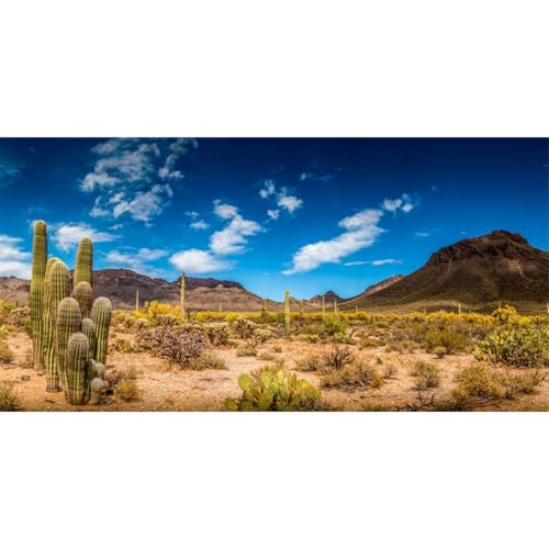 AWERT 36x18 inches Reptile Habitat Background Blue Sky Oasis Cactus Desert Terrarium Background Durable Polyester Background - size: 36x18in/90x45cm