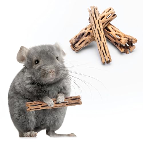 Natural Cholla Wood - Driftwood for Aquariums, Air Plant Base, Hermit Crab and Freshwater Shrimp Hideout, Fish Tank Decoration, Chinchilla Chews, Reptile Habitat Wood - 4 Inch, 3pc - size: 4 Inch (Pack of 3)